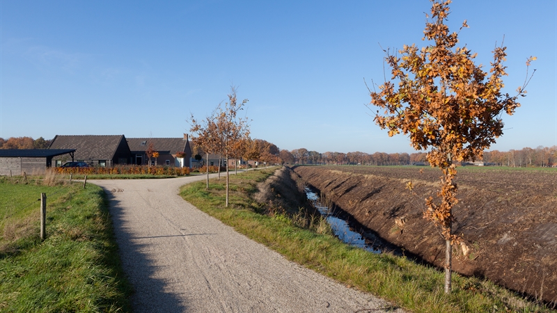 Drenthe maakt - Het landschap als inspiratiebron bij ruimtelijke  ontwikkeling - Provincie Drenthe