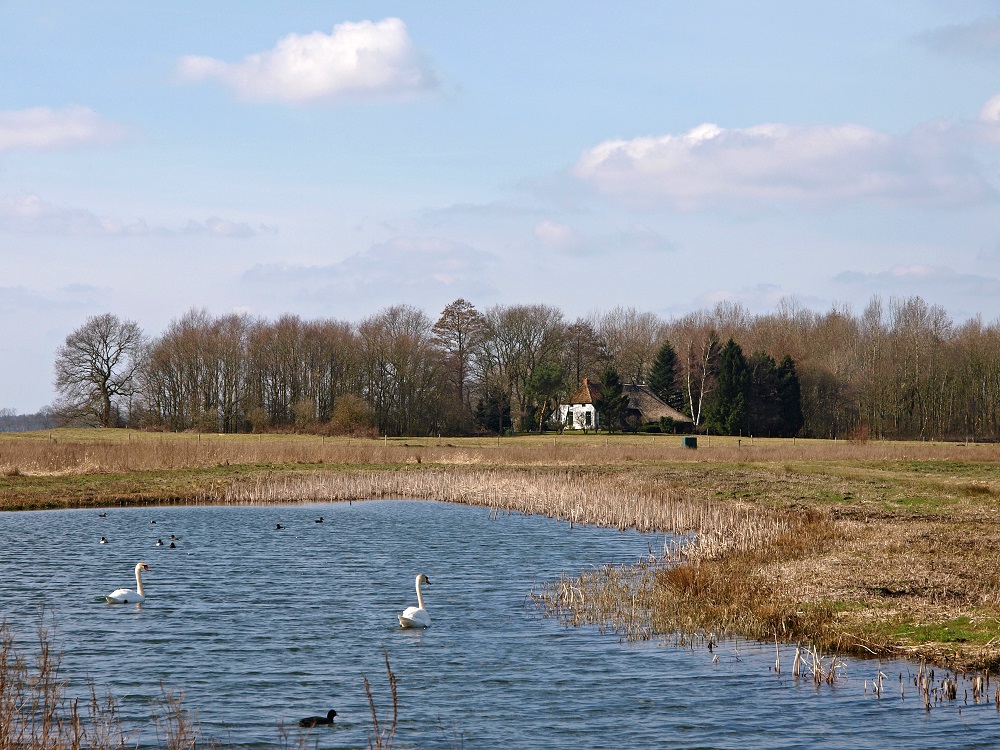 Duunschelanden Spijkerboor