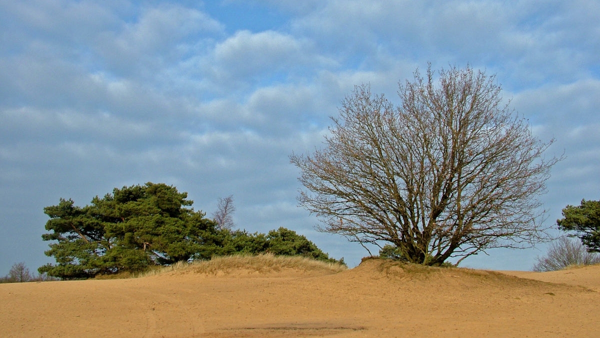 Zuidwest Drenthe