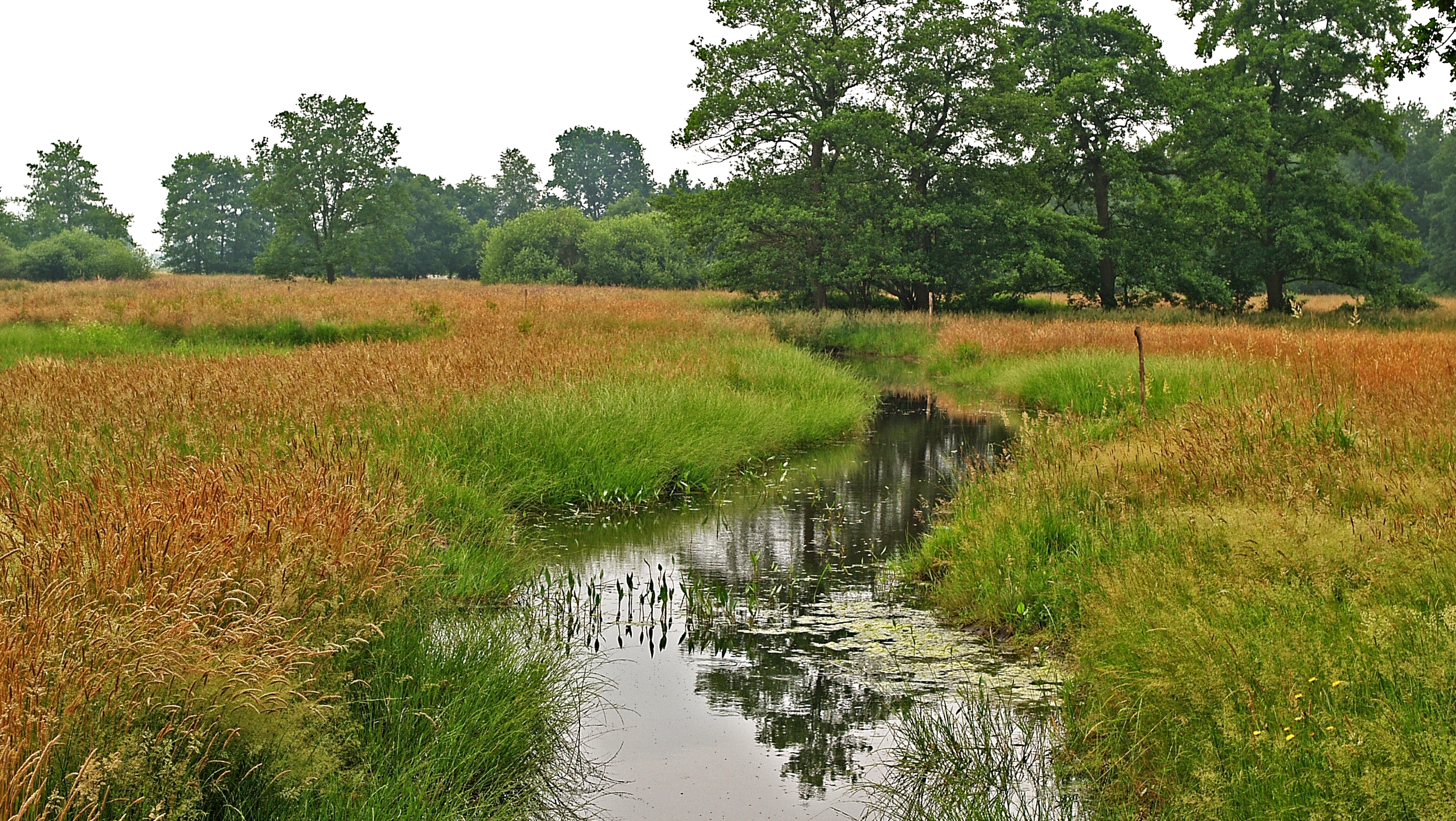 Nieuw Drostendiep