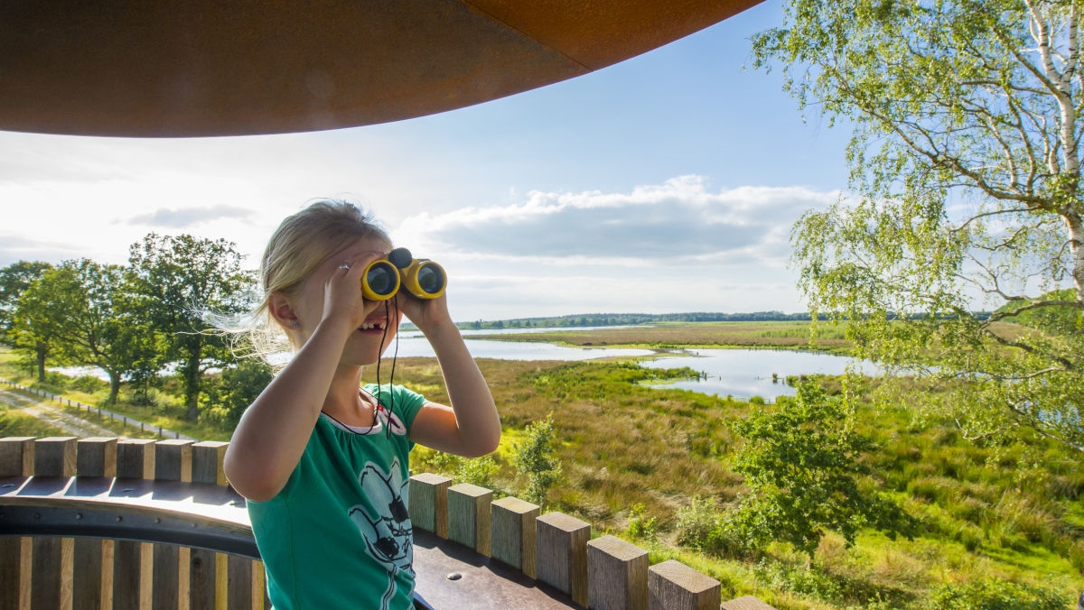 Noordwest Drenthe