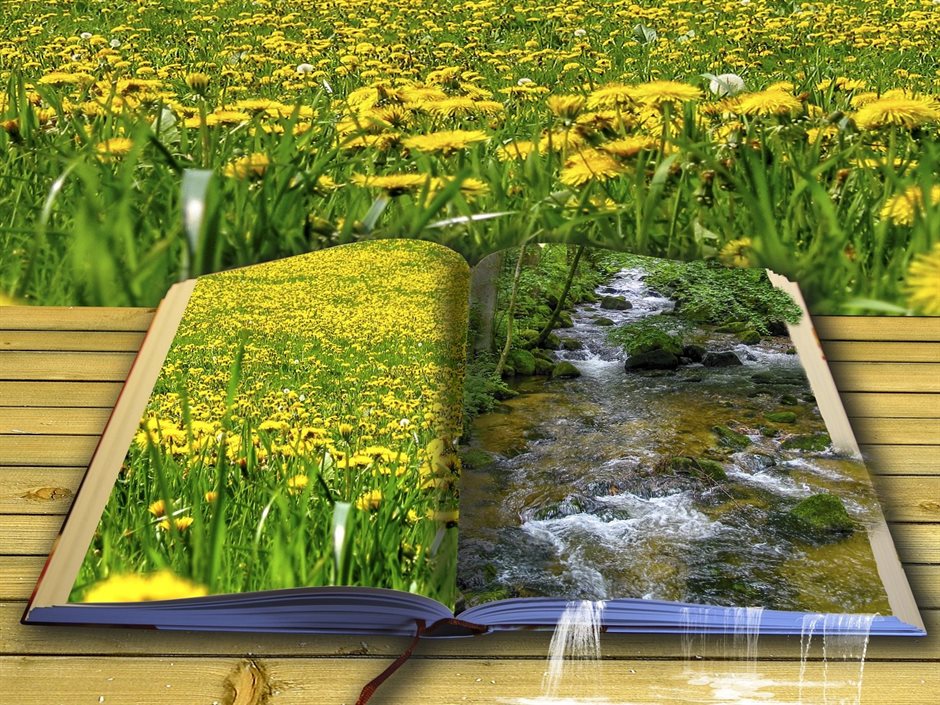 Een boek ligt opengeslagen op een houten tafel. Er staan twee paginagrote foto's in van een veld met bloeiende paardenbloemen en een kabbelende beek. De foto is gephotoshopt waardoor het lijkt of de beek de bladzijde af stroomt.