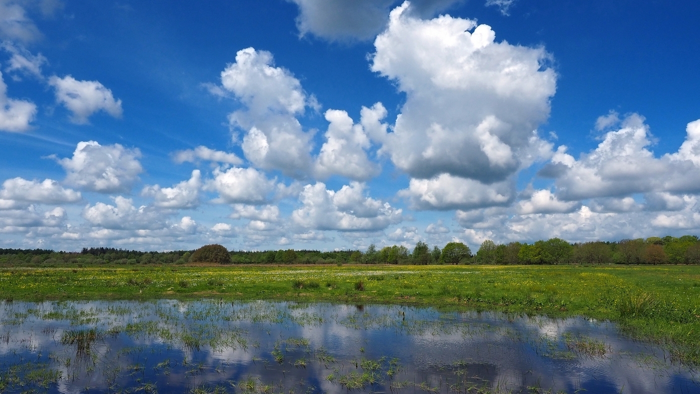 Drenthe mooi op weg!: Natuurherstel Oude Willem - Provincie Drenthe