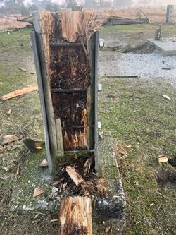 foto Staatsbosbeheer