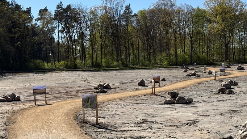 Natuurgebied Schaangedennen bij Valthe geopend: meer ruimte voor knoflookpad en kleine schorseneer